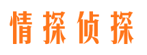 商南寻人公司